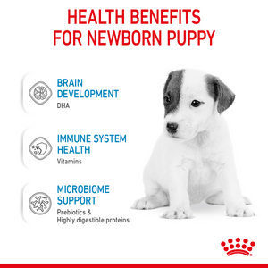Size Health Nutrition Babydog Milk 400 g
