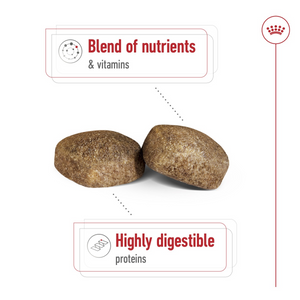 Size Health Nutrition Giant Adult 15 KG