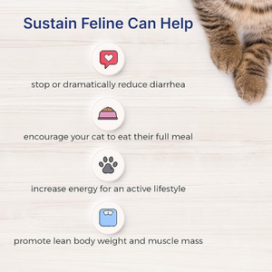Sustain HDN Feline 100 g