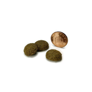 Symply Fresh Chicken Adult Large Breeds Dry Dog Food - 12kg - Shopivet.com