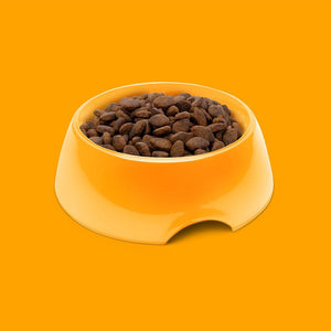 Symply Fresh Chicken All Adult Breeds Dry Dog Food - Shopivet.com