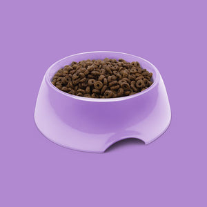 Symply Fresh Turkey Adult Small Breeds Dry Dog Food - 2KG - Shopivet.com