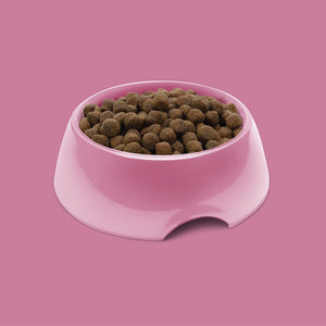 Symply Fresh Turkey All Adult Breeds Dry Dog Food - Shopivet.com