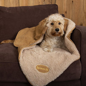 Scruffs Snuggle Dog Blanket - TAN