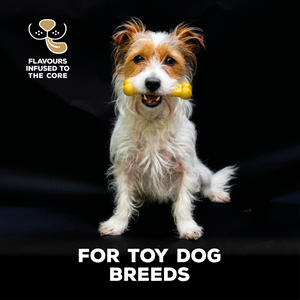 TastyBone Nylon Toy Dog - Chicken