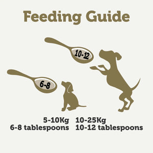 Applaws Taste Toppers Beef Bone Broth with Turmeric & Parsley Wet Dog Food Pouch 200g - 200ml
