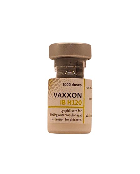 Vaxxon IB H120 Vaccine - Shopivet.com