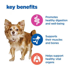 Hill’s Vet Essentials Multi-Benefit Adult Small & Mini Multi Benefit Dog Food (2KG)