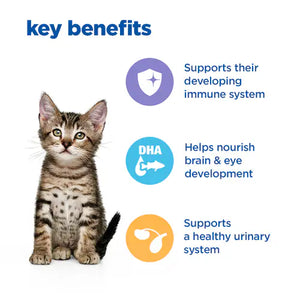 Hill’s Vet Essentials Multi-Benefit Kitten food with Chicken (12x85g)