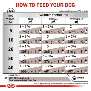Vet Health Nutrition Canine Gastrointestinal High Fibre (Wet Food - Cans) 12 x 200 g