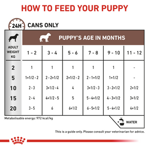 Vet Health Nutrition Canine Gastrointestinal Puppy (Wet Food - Cans) 12 x 195 g