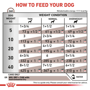 Vet Health Nutrition Canine Gastrointestinal (Wet Food - Cans) 12 x 200 g