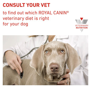 Vet Health Nutrition Canine Satiety 12 kg