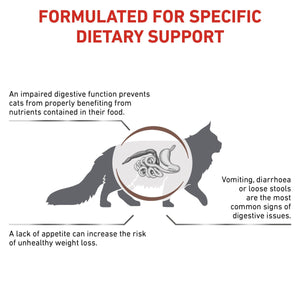 Vet Health Nutrition Feline GastroIntestinal 2 kg