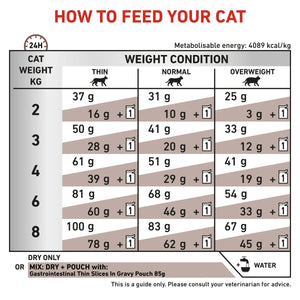 Vet Health Nutrition Feline GastroIntestinal 2 kg