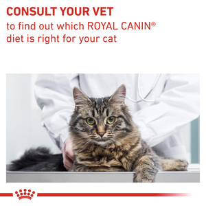 Vet Health Nutrition Feline Gastrointestinal Fibre Response 2 kg
