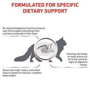Vet Health Nutrition Feline GastroIntestinal Moderate Calorie 2 kg