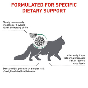 Vet Health Nutrition Feline Satiety 6 kg