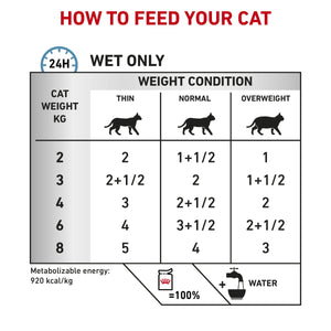 Vet Health Nutrition Feline Skin & Coat (Wet Food - Pouches) 12 x 85 g