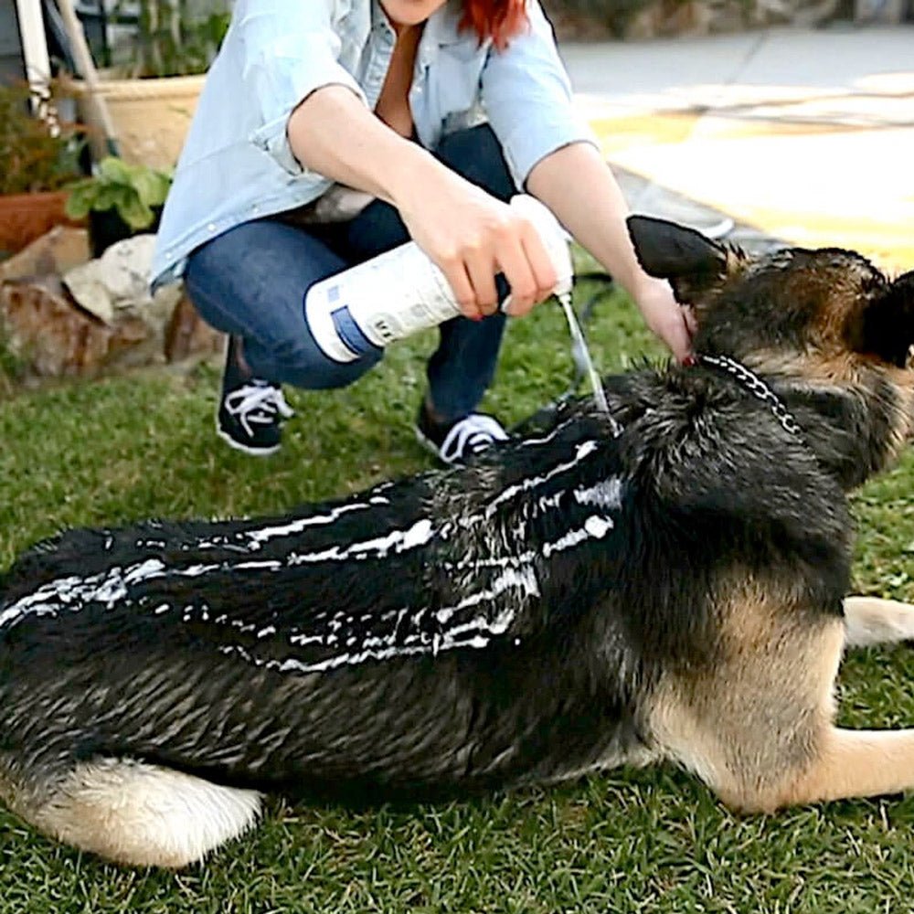 Vetericyn FoamCare® Pet Shampoo – All Coats - Shopivet.com