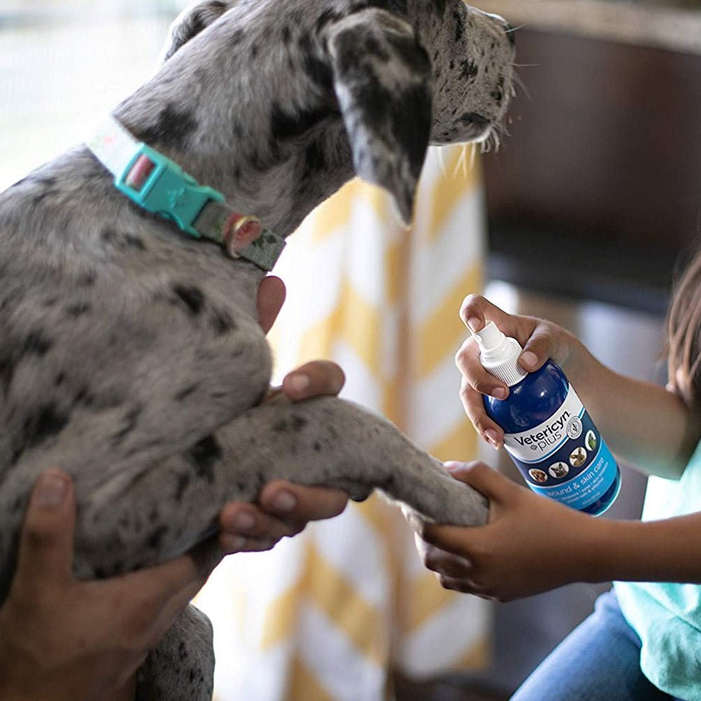 Vetericyn Plus® Antimicrobial All Animal Wound and Skin Care – 8oz - Shopivet.com