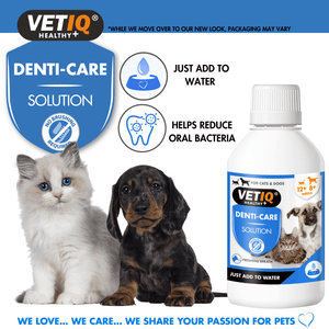 VetiQ 2in1 Denti - Care Oral Hygiene Solution 250ml - 250ML - Shopivet.com