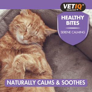 VetIQ Healthy Bites Serene Calming Cat Treats 65g - 65g - Shopivet.com