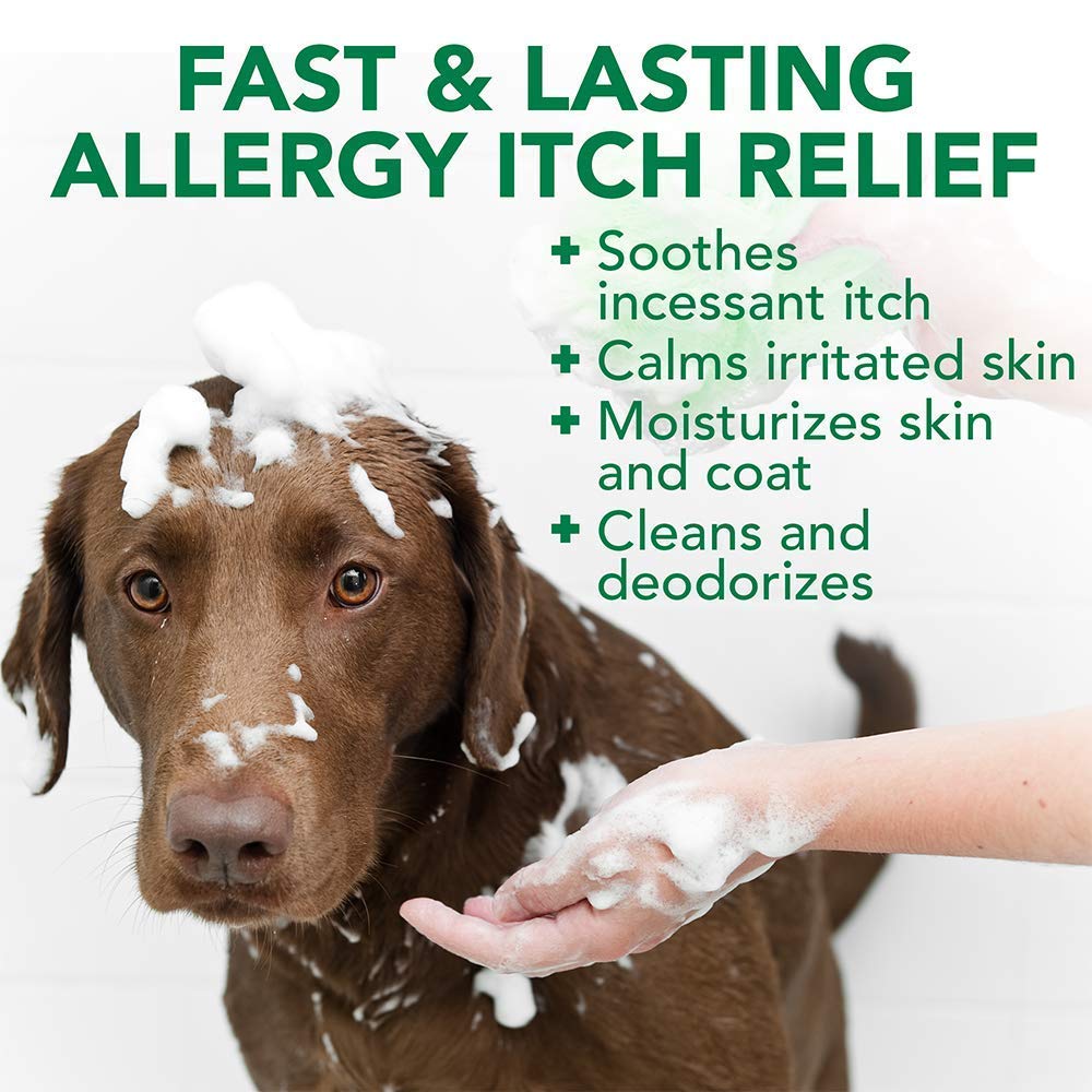 Vet’s Best Allergy Itch Relief Dog Shampoo 16 oz - Shopivet.com