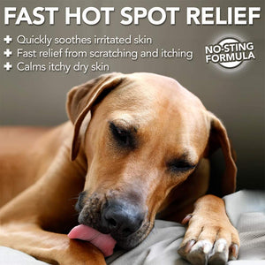 Vet’s Best Allergy Itch Relief Spray for Dogs 8 oz - Shopivet.com