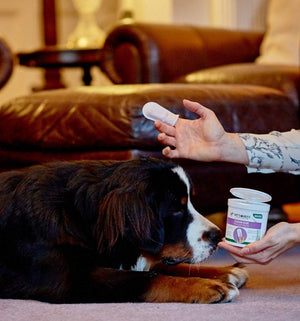 Vet’s Best Clean Ear Finger Pads (50 Pads) - Shopivet.com