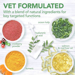 Vet’s Best Daily Chews (180 Soft Chews) – Senior - Shopivet.com