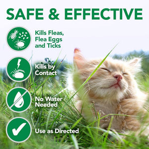 Vet’s Best Flea and Tick Waterless Bath Foam for Cats 5oz - Shopivet.com