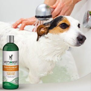 Vet’s Best Flea Itch Relief Shampoo 16 - oz - Shopivet.com