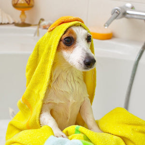Vet’s Best Flea Itch Relief Shampoo 16 - oz - Shopivet.com