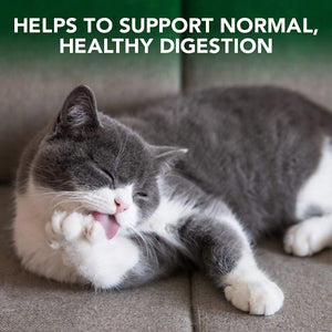 Vet’s Best Hairball Control Gel for Cats – 100g - Shopivet.com