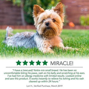 Vet’s Best Hot Spot Foam (4oz) - Shopivet.com