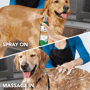 Vet’s Best Natural Anti - Flea Easy Spray Shampoo (16 oz) - Shopivet.com