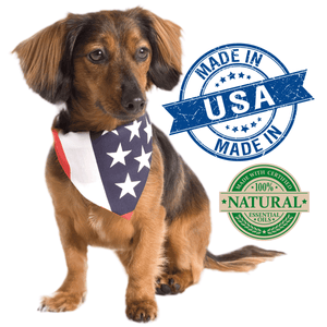 Vet’s Best Natural Anti - Flea Easy Spray Shampoo (16 oz) - Shopivet.com