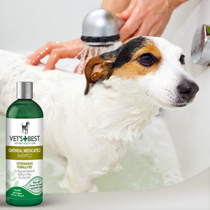 Vet’s Best Oatmeal Medicated Dog Shampoo (16 - oz) - Shopivet.com