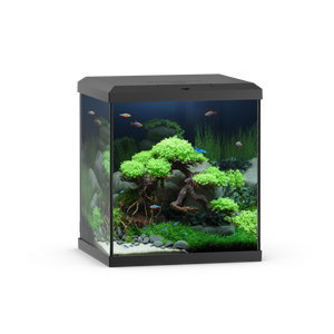 Vio Cube 54 Black
