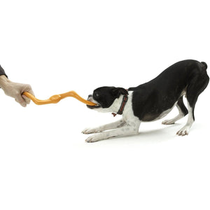 Westpaw Design Būmi Tug Toy - aqua - Shopivet.com