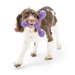 Westpaw Design Skamp with Zogoflex Echo - purple - Shopivet.com