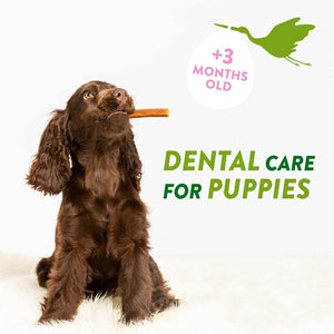 Whimzees Puppy Stix XS/S (14 Pcs) - Shopivet.com