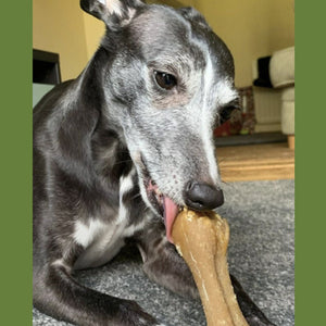 Whimzees Rice Bone Dental Dog Treat – Large (9pcs) - Shopivet.com