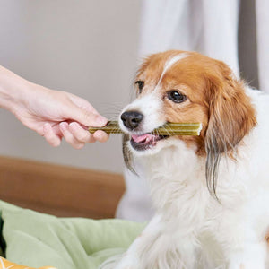 Whimzees Soft Daily Dental Dog Treats Value Bag – X Small (56 pcs) - Shopivet.com