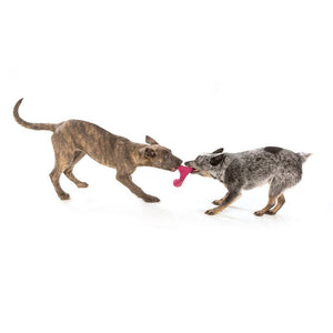 Wox Dog Toy - currant - Shopivet.com