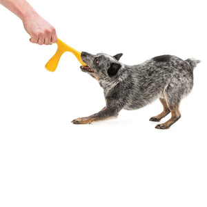 Wox Dog Toy - currant - Shopivet.com