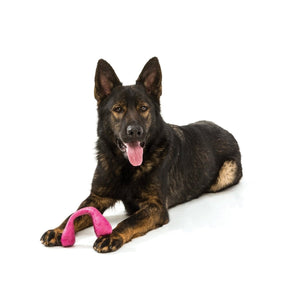 Wox Dog Toy - currant - Shopivet.com
