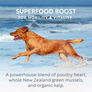 ZIWI Peak Air - Dried Tripe & Lamb Recipe Dry Dog Food - 2.5KG - Shopivet.com