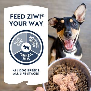 ZIWI Peak Beef Recipe Wet Dog Food - 170G - Shopivet.com
